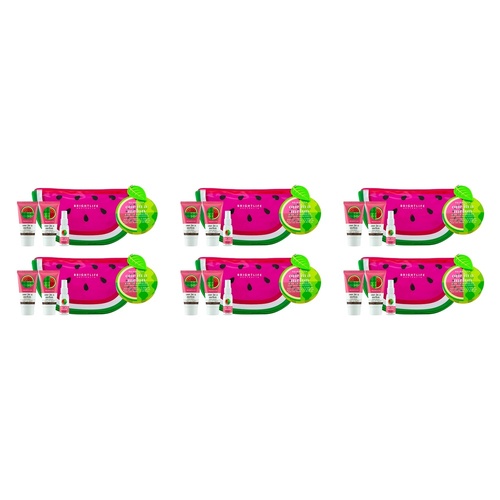 BrightLife Watermelon Wonderland Wash Bag 4 Piece Set Pack of 6